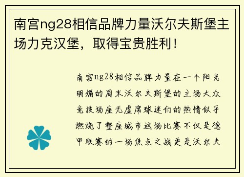 南宫ng28相信品牌力量沃尔夫斯堡主场力克汉堡，取得宝贵胜利！